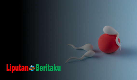 Fungsi Bagian Ekor Dari Sperma Manusia