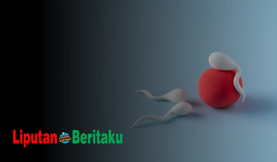 Fungsi Bagian Ekor Dari Sperma Manusia