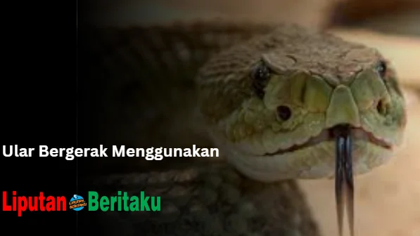 Ular Bergerak Menggunakan