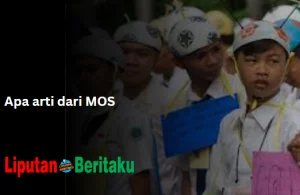 Apa arti dari MOSarti dari MOSn