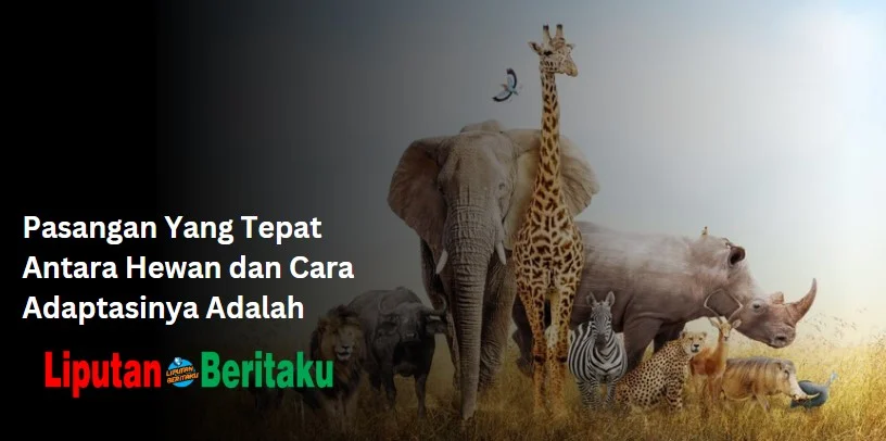 Pasangan Yang Tepat Antara Hewan dan Cara Adaptasinya Adalah