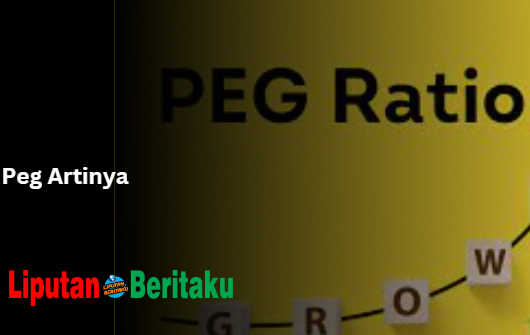 Arti Dari Peg