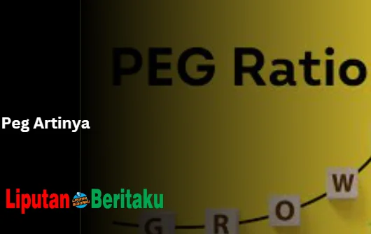 Arti Dari Peg