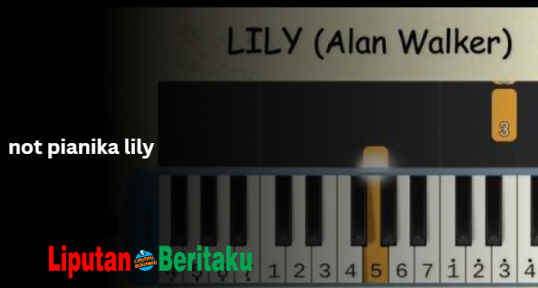 Not Pianika Lily Not Pianika Lily