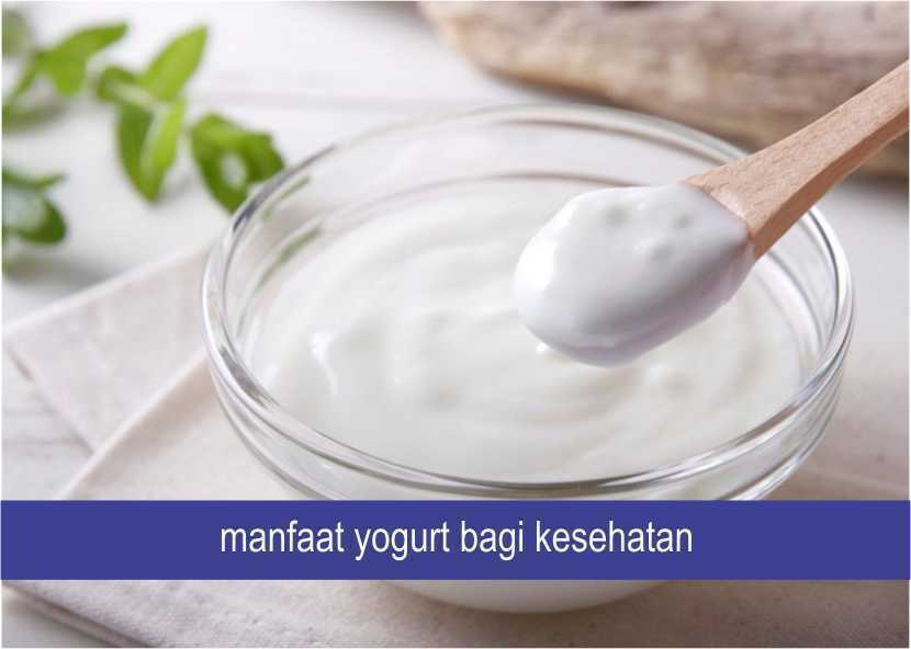 Manfaat Yogurt Bagi Kesehatan