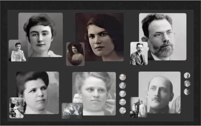 MyHeritage App: Tracing Family History Through DNA 2 my heritage 2