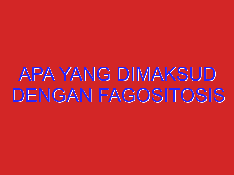 apa yang dimaksud dengan fagositosis apa yang dimaksud dengan fagositosis