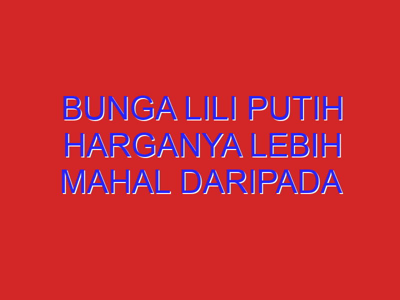 bunga lili putih harganya lebih mahal daripada bunga lili kuning. sifat warna kuning dominan terhadap