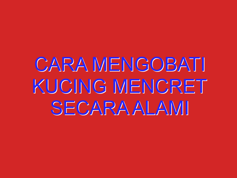 cara mengobati kucing mencret secara alami