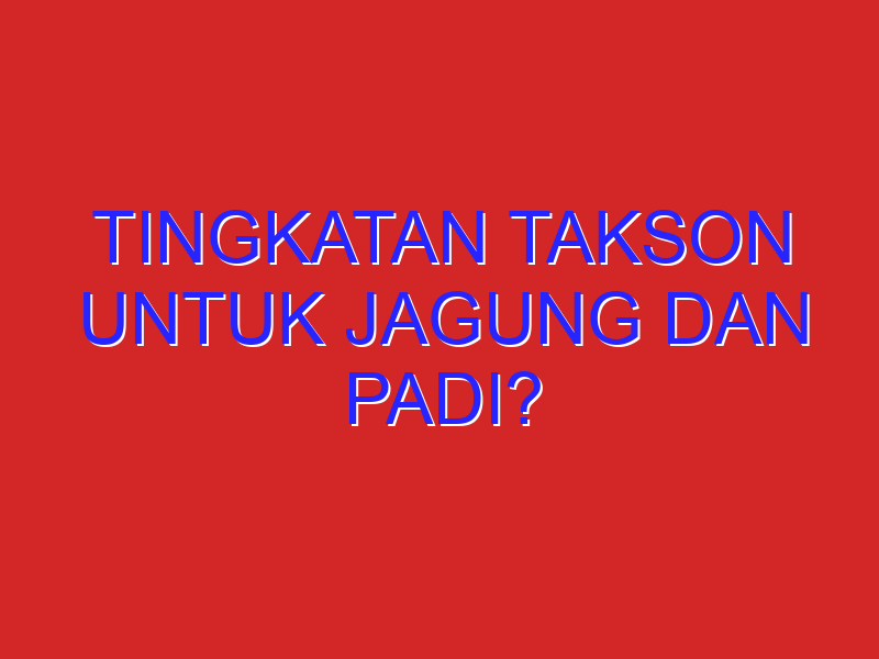 Tingkatan takson untuk jagung dan padi?