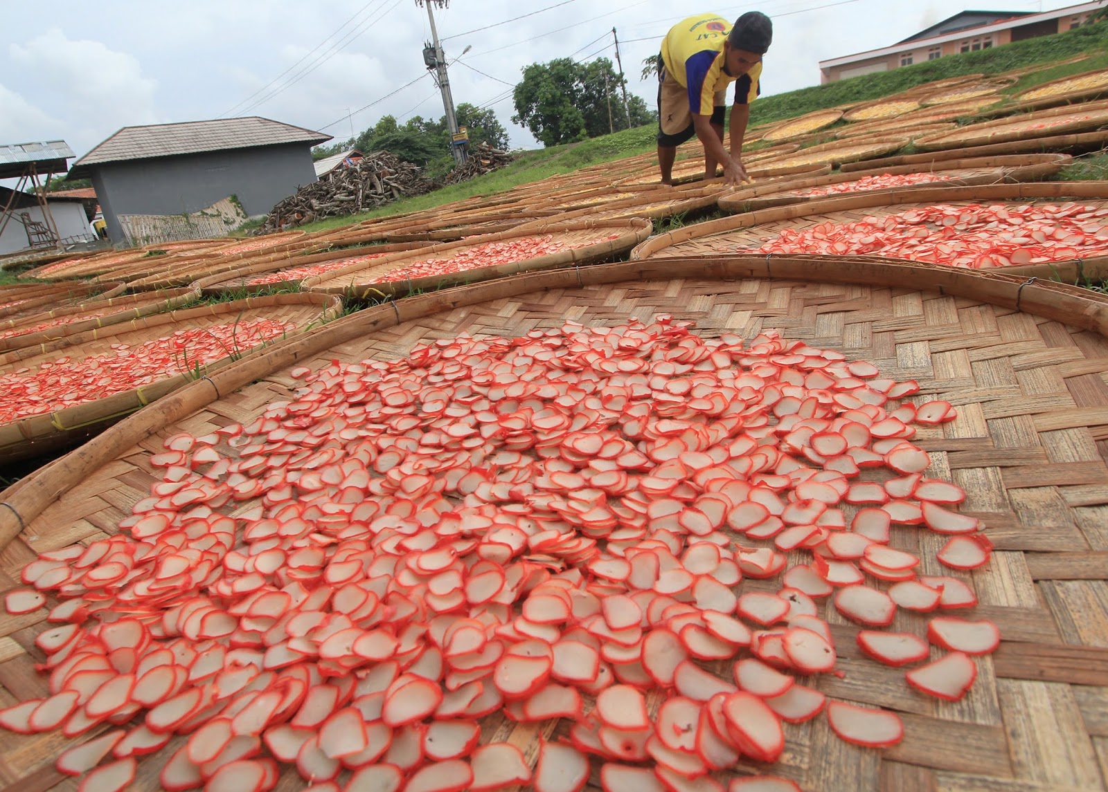 teknik pengeringan bahan pangan nabati yang paling sederhana adalah dengan 1 wapt image post 13