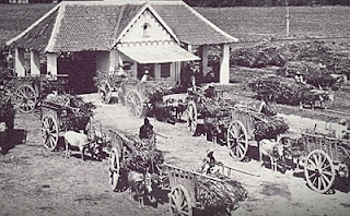 jelaskan perkembangan tren pada masa pemerintahan belanda hingga masa sekarang 1 wapt image post 4